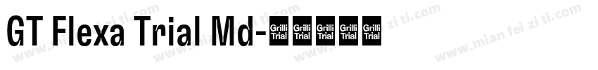 GT Flexa Trial Md字体转换